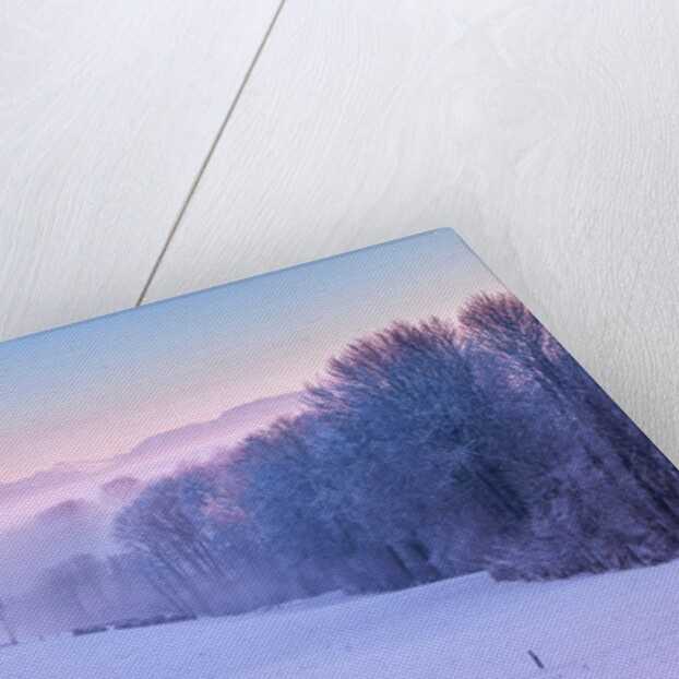 Winter landsacpe in Switzerland by Assaf Frank